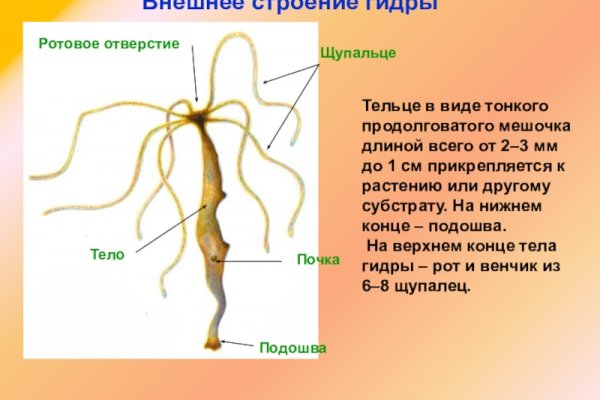 Кракен онион зеркало